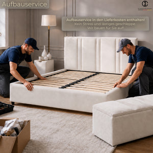 color:beige;type:construct