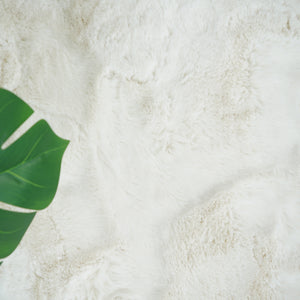 color:ivory;type:detail