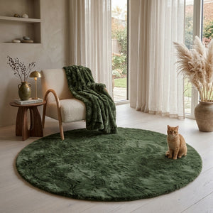 color:olivegreen;type:ambient