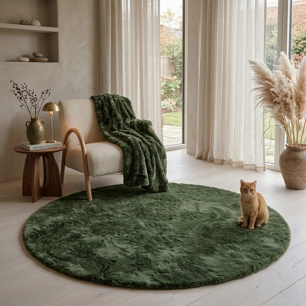 color:olivegreen;type:ambient